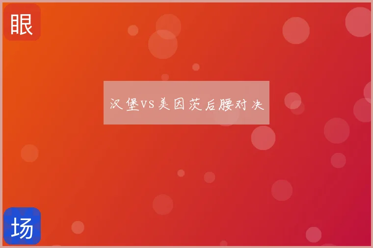 汉堡vs美因茨后腰对决