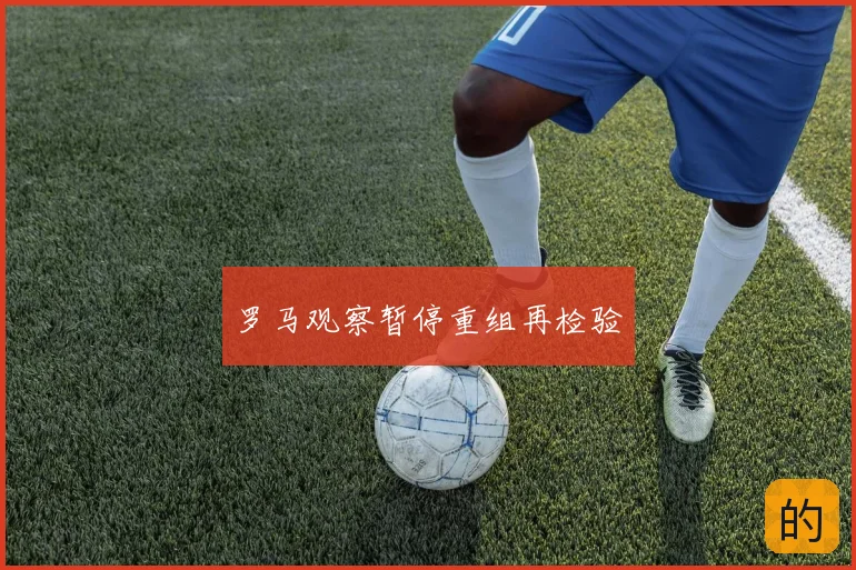 罗马观察暂停重组再检验