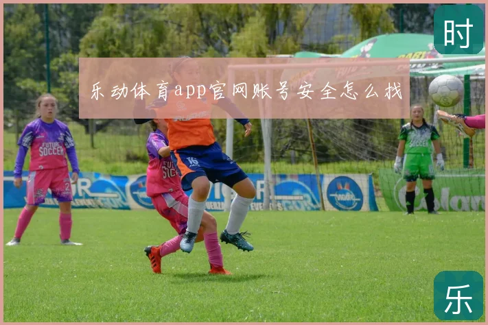 乐动体育app官网账号安全怎么找