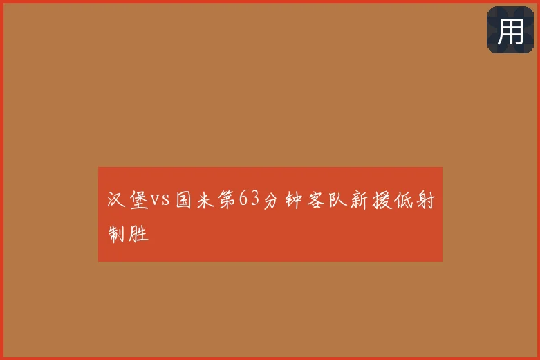 汉堡vs国米第63分钟客队新援低射制胜